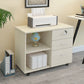 Locking Drawers File Cabinet Vertical Contemporary Wood File Cabinet Clearhalo 'Filing Cabinets' 'filling_cabinets' 'furn' 'furn_filling_cabinets' 'Furniture' 'Office Furniture' 1200x1200_e0510671-4395-4d22-ae59-47459f9e36b8