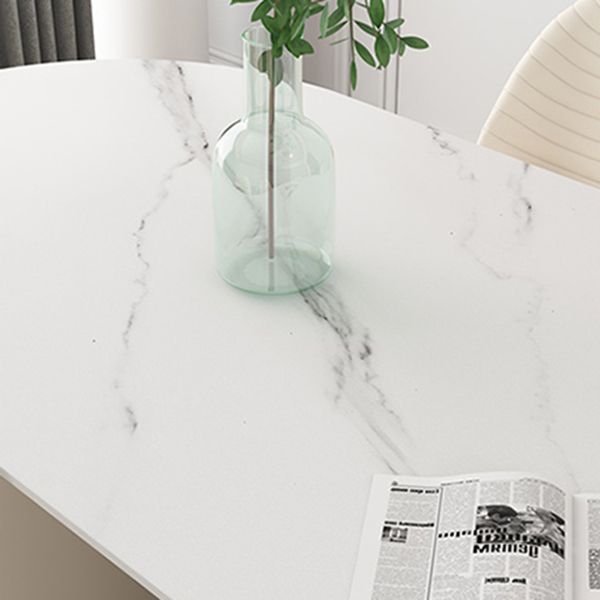 Metal Traditional Luxury Freeform Table Sintered Stone Table with Double Pedestal Clearhalo ' dining_table' 'Dining Tables & Seating' 'Dining Tables' 'furn' 'furn_dining_table' 'Furniture' 'furniture_dining_table' 'Kitchen & Dining Furniture' 'kitchen&dining_furn' 'kitchen' 'kitchen_dining_table' 1200x1200_e0816f80-561b-48ed-a2d2-2ee73195412b