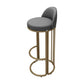 Glam Armless Backrest Counter Stool Iron Restaurant Bar Stool with Cushion and Pedal Clearhalo 'Bar Furniture' 'Bar Stools' 'bar_stools' 'furn' 'furn_bar_stools' 'Furniture' 'Kitchen & Dining Furniture' 1200x1200_e0be8422-2f07-4b36-85a2-163ee56f591a