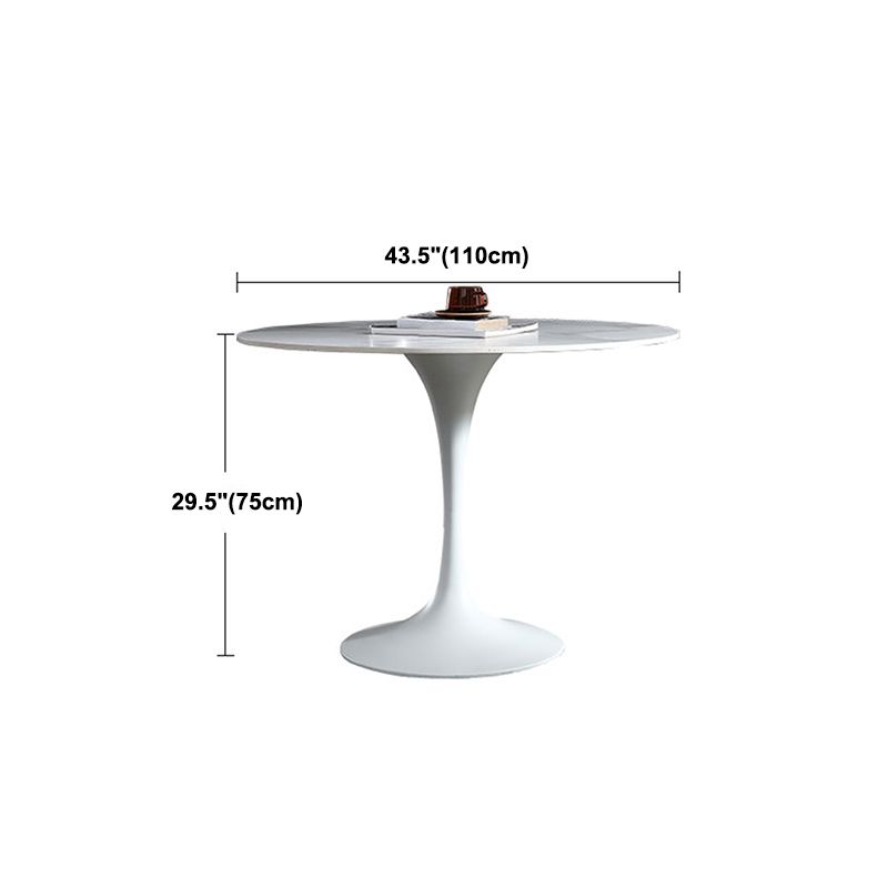 Stone Top Dining Table Modern Round Dining Table with Pedestal Base Clearhalo 'Dining Tables & Seating' 'Dining Tables' 'dining_table' 'furn' 'furn_dining_table' 'Furniture' 'furniture_dining_table' 'Kitchen & Dining Furniture' 'kitchen' 'kitchen_dining_table' 1200x1200_e0c30fc4-ffa7-41f3-95a2-f096861b7fe5