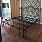 Metal Open-Frame Bed Solid Color Slat Bed with Custom Gold Leg