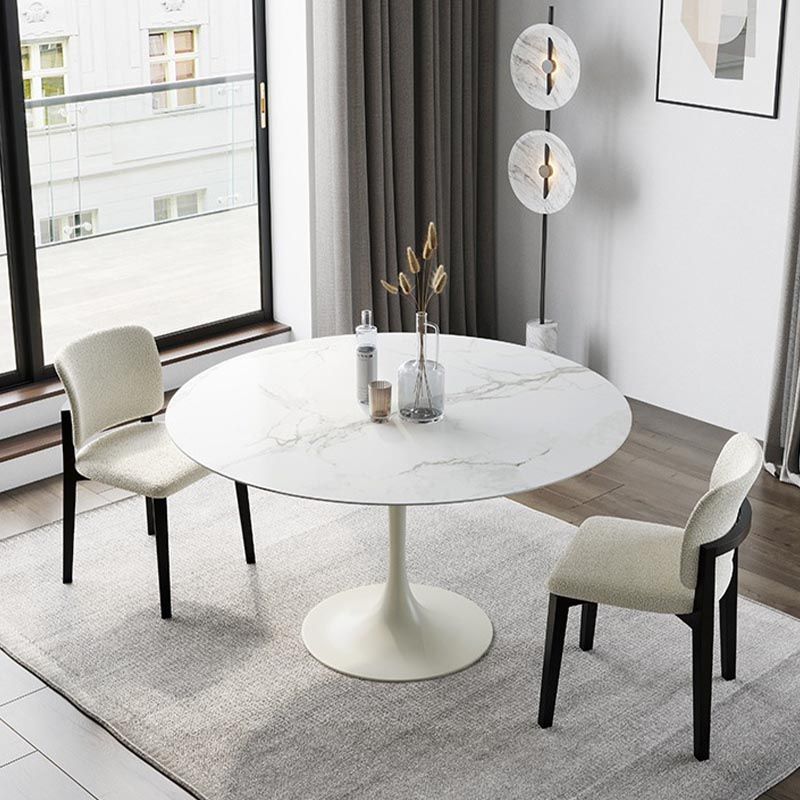 Stone Top Dining Table Modern Round Table with Pedestal Base Clearhalo 'Dining Tables & Seating' 'Dining Tables' 'dining_table' 'furn' 'furn_dining_table' 'Furniture' 'furniture_dining_table' 'Kitchen & Dining Furniture' 'kitchen' 'kitchen_dining_table' 1200x1200_e2600779-8dc4-4ddd-acaa-c65a005d1960