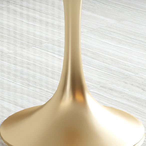 Glam Sintered Stone Dining Room Set with Gold Leg Dining Furniture for Home Use Clearhalo 'Dining Room Sets' 'Dining Tables & Seating' 'dining_room_set' 'furn' 'furn_dining_room_set' 'Furniture' 'furniture_dining_room_set' 'Kitchen & Dining Furniture' 'kitchen&dining_furn' 'kitchen' 1200x1200_e2b55113-199e-4d56-9d22-5044b8aacd31