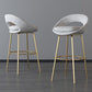 Contemporary Armless Backrest Counter Stool Iron Bar Stool with Cushion and Footrest