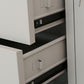 Modern File Cabinet Steel Locking Drawers and Storage Shelves Filing Cabinet Clearhalo 'Filing Cabinets' 'filling_cabinets' 'furn' 'furn_filling_cabinets' 'Furniture' 'Office Furniture' 1200x1200_e2de85ef-36eb-4613-ba31-2b1fc9ea03bf