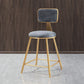 Nordic Backrest Armless Counter Stool Iron Dessert Shop Bar Stool with Cushion and Pedal