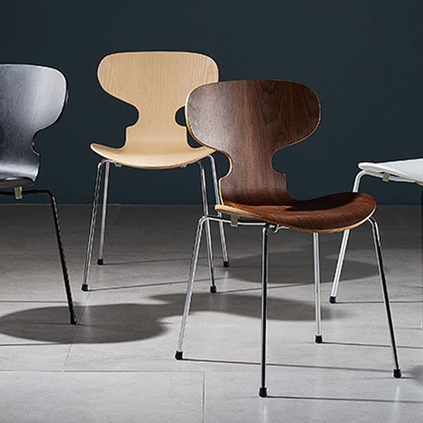 Chaise en bois moderne ouvert meubles côté salle à manger en finition mate