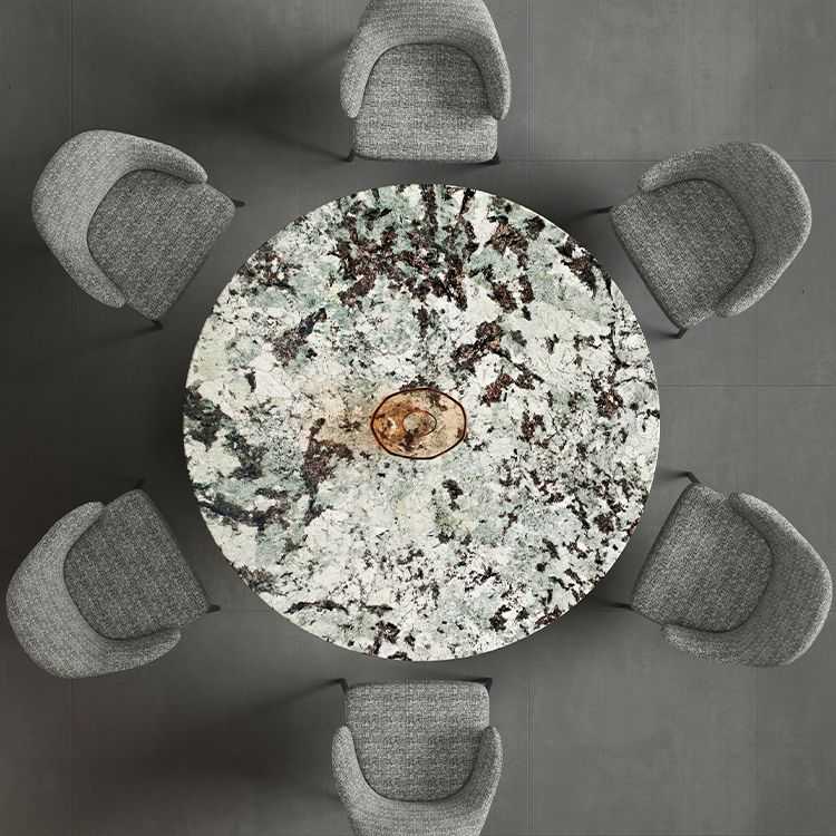 Glam Round Marble Top Dining Table with Metal Pedestal Base for Home Clearhalo 'Dining Tables & Seating' 'Dining Tables' 'dining_table' 'furn' 'furn_dining_table' 'Furniture' 'Kitchen & Dining Furniture' 1200x1200_e40187ad-4aaf-4e3c-a179-16750bc72cbe