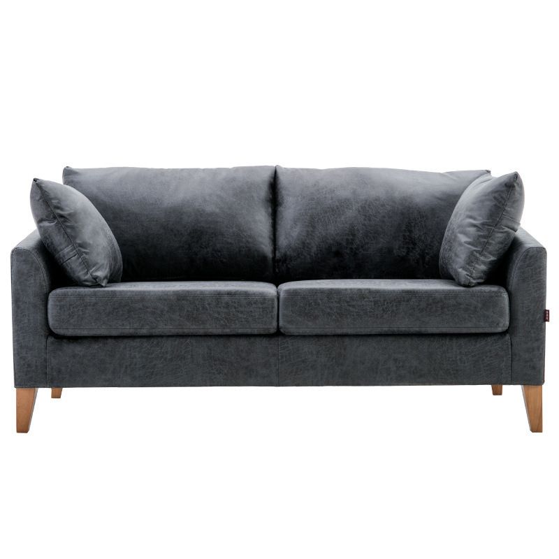Modern Style Rectangular Sofa with Wooden Base and Namib Cushion Clearhalo 'furn' 'furn_sofas' 'Furniture' 'furniture_sofas' 'kitchen' 'kitchen_sofas' 'Living Room Furniture' 'Sofa' 'sofas' 1200x1200_e430a787-10f4-47ba-8bfc-ed3fa7ae771f