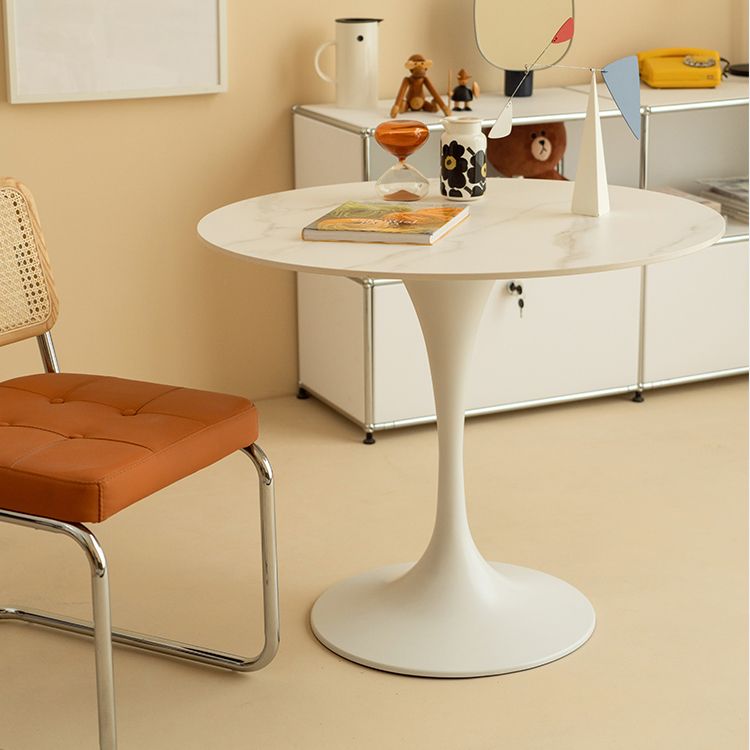 Contemporary Round Shape Sintered Stone Dining Table Kitchen Dining Table with Tulip Base Clearhalo ' dining_table' 'Dining Tables & Seating' 'Dining Tables' 'furn' 'furn_dining_table' 'Furniture' 'furniture_dining_table' 'Kitchen & Dining Furniture' 'kitchen&dining_furn' 'kitchen' 'kitchen_dining_table' 1200x1200_e44cafed-f3ba-4ba5-a05e-26c91a6a7442