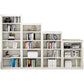 Modern Style Closed Back Bookshelf Standard Wooden Bookcase in White