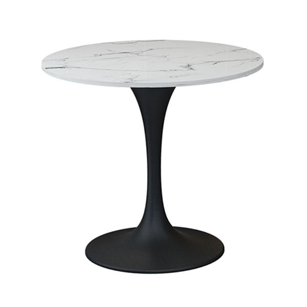 Contemporary Tulip Base Dinner Table Stone Dining Table Round for Home Clearhalo ' dining_table' 'Dining Tables & Seating' 'Dining Tables' 'furn' 'furn_dining_table' 'Furniture' 'furniture_dining_table' 'Kitchen & Dining Furniture' 'kitchen&dining_furn' 'kitchen' 'kitchen_dining_table' 1200x1200_e51b48ec-9ee7-497b-bdf2-e36f3ba643dd