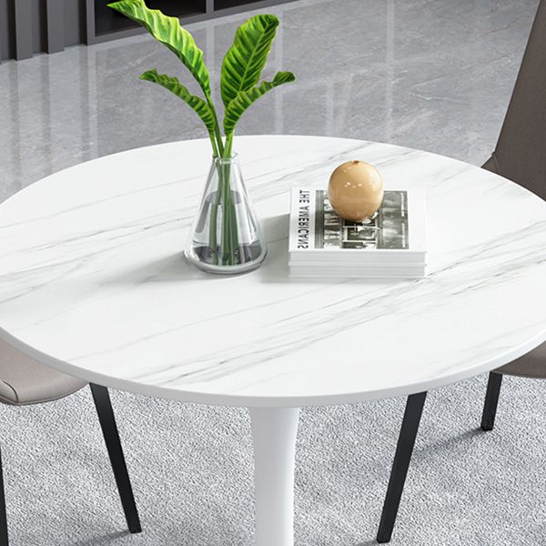 Simple Round Dining Table Sintered Stone Table with Tulip Base for Dining Room Clearhalo ' dining_table' 'Dining Tables & Seating' 'Dining Tables' 'furn' 'furn_dining_table' 'Furniture' 'furniture_dining_table' 'Kitchen & Dining Furniture' 'kitchen&dining_furn' 'kitchen' 'kitchen_dining_table' 1200x1200_e57f0720-9d85-4326-bf56-cbd9b215f9a4
