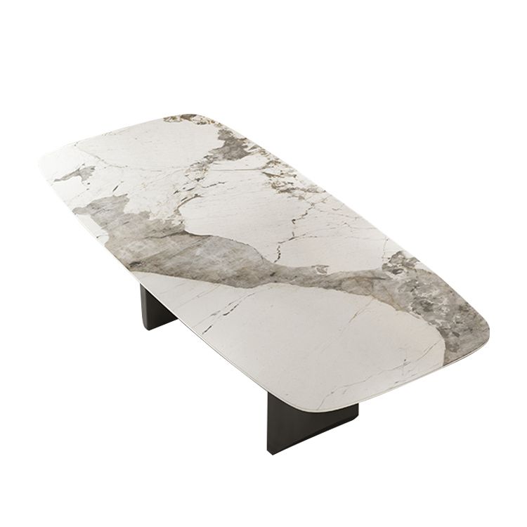 Stone Dining Table Traditional Luxury Dining Table with Double Pedestal Clearhalo 'Dining Tables & Seating' 'Dining Tables' 'dining_table' 'furn' 'furn_dining_table' 'Furniture' 'Kitchen & Dining Furniture' 1200x1200_e5a2d3eb-15cf-4706-8977-c68b3e02d54e