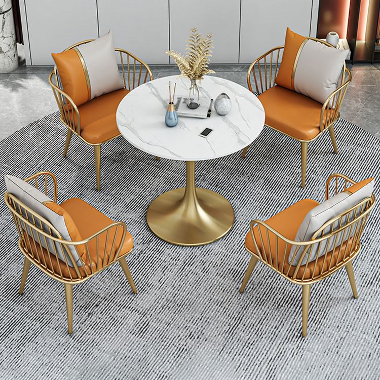 Glam 1/2/3/4/5 Pieces Sintered Stone Dining Set Dining Furniture Set /Separate Items Clearhalo 'Dining Room Sets' 'Dining Tables & Seating' 'dining_room_set' 'furn' 'furn_dining_room_set' 'Furniture' 'furniture_dining_room_set' 'Kitchen & Dining Furniture' 'kitchen&dining_furn' 'kitchen' 1200x1200_e5b1c05f-9e9d-40cd-9dd1-2b9743b03486