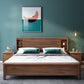 Scandinavian Solid Wood Storage with Headboard Panel Standard Bed