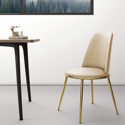 Modern Side Dining Chairs Entryway Dining Chairs for Dining Room Clearhalo 'Dining Chairs' 'Dining Tables & Seating' 'dining_chair' 'furn' 'furn_dining_chair' 'Furniture' 'furniture_dining_chair' 'Kitchen & Dining Furniture' 1200x1200_e5d35353-1796-409f-a999-d96f597e4c97