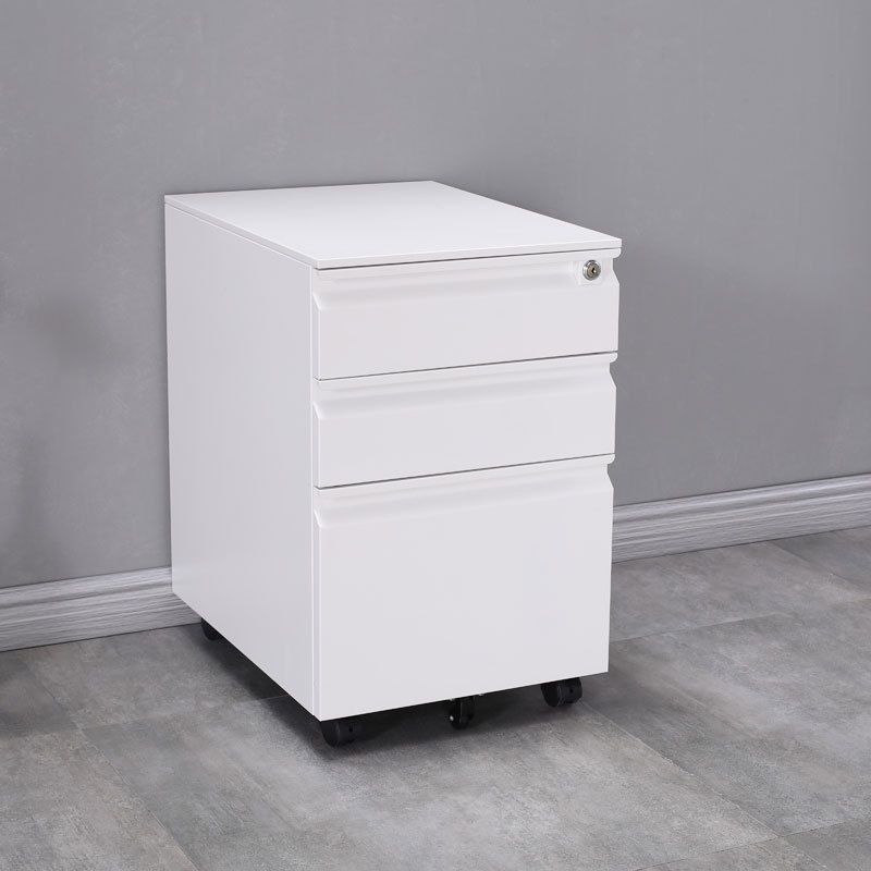 Industrial Metal Cabinet Locking Drawers Filing Cabinet with Wheels Clearhalo 'Filing Cabinets' 'filling_cabinets' 'furn' 'furn_filling_cabinets' 'Furniture' 'Office Furniture' 1200x1200_e5e816ad-d276-4df6-aa2a-e7f4ce4aa276