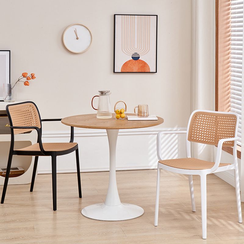 Sedia laterale da pranzo in plastica da pranzo da pranzo.