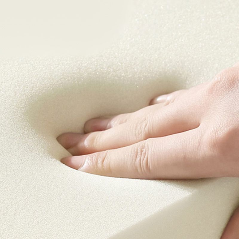 Sedia alare contemporanea reclinabile in metallo a colori solido rocusta girevole interno