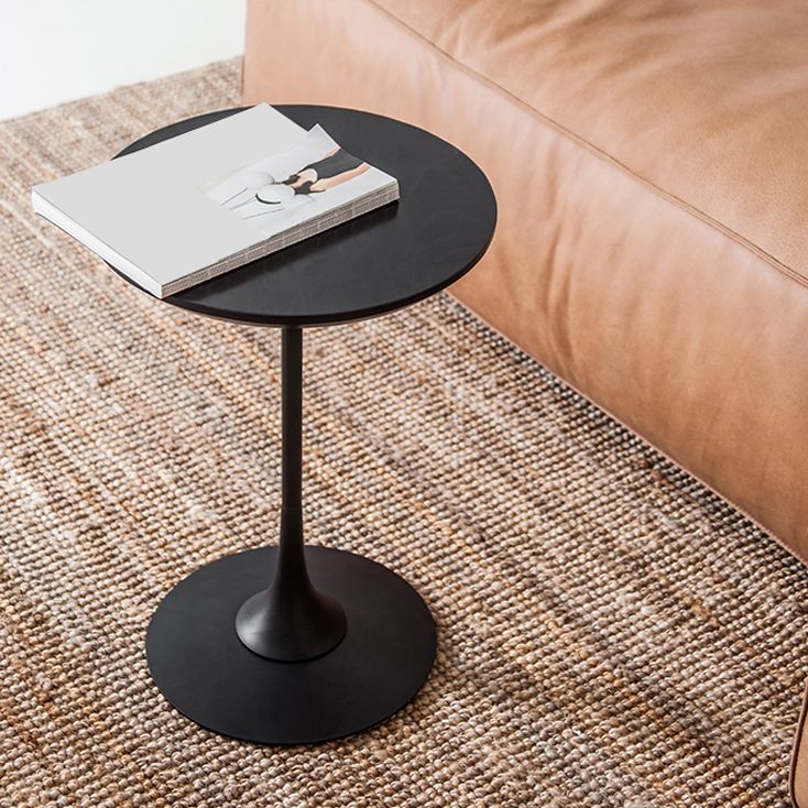 Scandinavian Round Solid Wood Top Side Table Metal Pedestal End Table Clearhalo 'Coffee & Accent Tables' 'End & Side Tables' 'end_side_tables' 'furn' 'furn_end_side_tables' 'Furniture' 'Living Room Furniture' 1200x1200_e67b02a6-0b8e-42d6-ae29-aa5a6d8c67e3