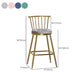 Glam Backrest Armless Counter Stool Iron Bar Stool with Velvet Cushion and Pedal for Cafe Clearhalo 'Bar Furniture' 'Bar Stools' 'bar_stools' 'furn' 'furn_bar_stools' 'Furniture' 'Kitchen & Dining Furniture' 1200x1200_e67eef32-7270-4435-bdf5-cbde332368d4