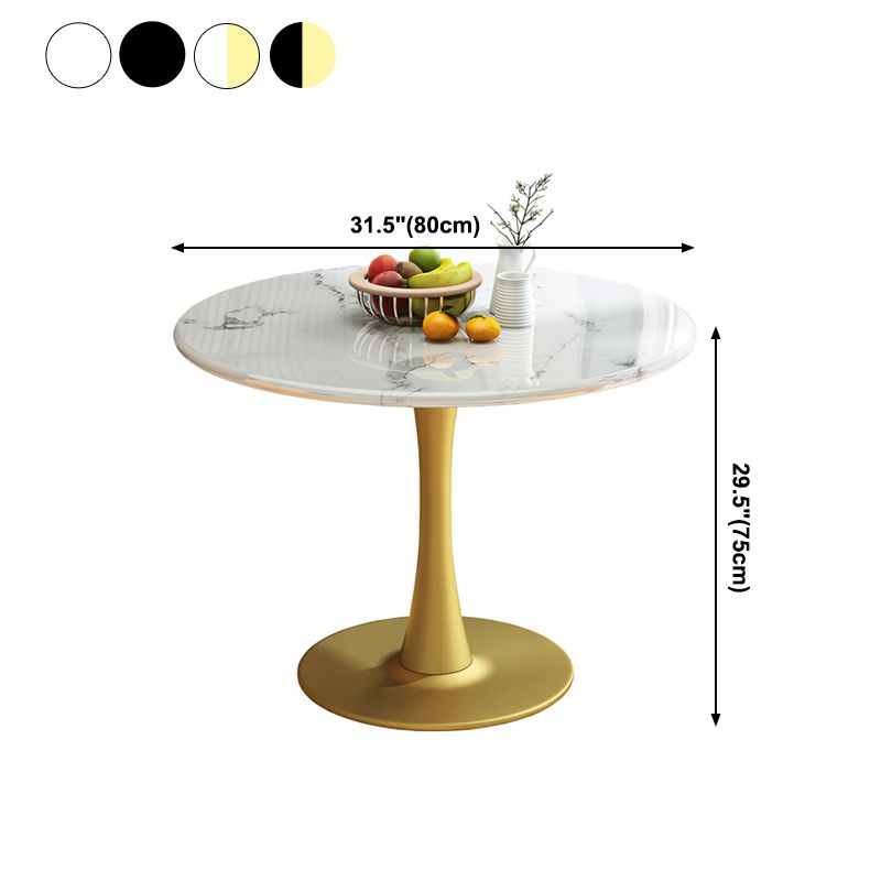 31.5-inch Metal Traditional Luxury Dining Table Round Indoor Table with Tulip Clearhalo ' dining_table' 'Dining Tables & Seating' 'Dining Tables' 'furn' 'furn_dining_table' 'Furniture' 'furniture_dining_table' 'Kitchen & Dining Furniture' 'kitchen&dining_furn' 'kitchen' 'kitchen_dining_table' 1200x1200_e6fd87bd-665e-453f-a7c0-367410c01a3d