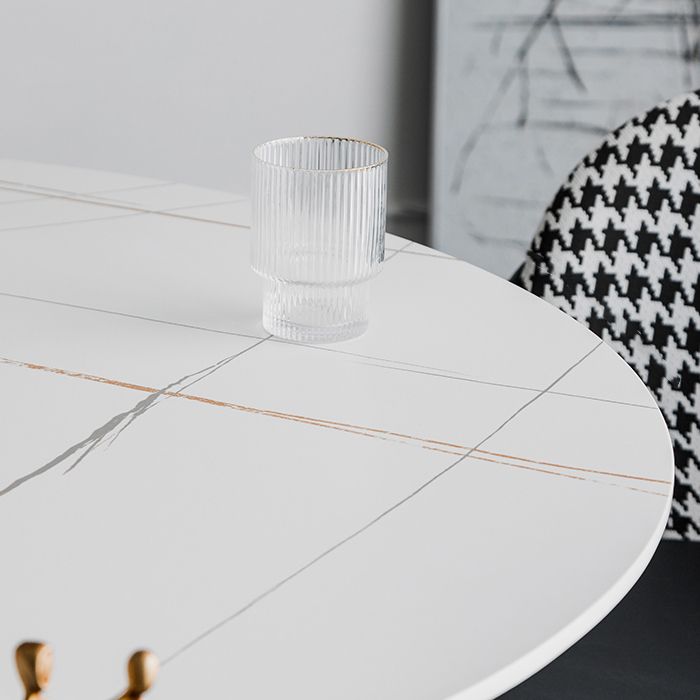 Round Two-Color Dining Table Sintered Stone Table Glam with Tulip Base Clearhalo ' dining_table' 'Dining Tables & Seating' 'Dining Tables' 'furn' 'furn_dining_table' 'Furniture' 'furniture_dining_table' 'Kitchen & Dining Furniture' 'kitchen&dining_furn' 'kitchen' 'kitchen_dining_table' 1200x1200_e7273ab6-b312-4779-a4bd-b5c9671d4315