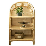 Contemporary Wooden Bookcase Closed Back Standard Bookshelf with Shelves Clearhalo 'Bookcases' 'furn' 'furn_bookcases' 'Furniture' 'Office Furniture' 1200x1200_e7a04f60-cc58-4f1a-b29b-31d18896cd16