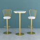 Glam Liftable Backrest Counter Stool Iron Household Bar Stool with Cushion Clearhalo 'Bar Furniture' 'Bar Stools' 'bar_stools' 'furn' 'furn_bar_stools' 'furniture_bar_stools' 'Kitchen & Dining Furniture' 'kitchen&dining_furn' 'kitchen' 'kitchen_furn' Furniture' 1200x1200_e7d10256-5618-4b6a-a153-129db3eba52e