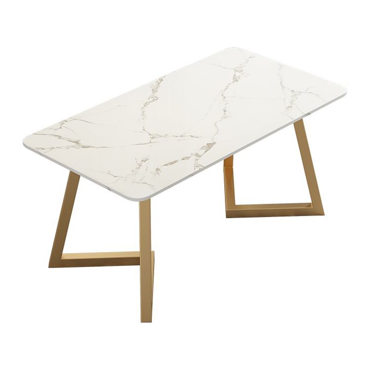 Traditional Luxury Rectangle Dining Table Double Pedestal Furniture for Indoor Clearhalo 'Dining Tables & Seating' 'Dining Tables' 'dining_table' 'furn' 'furn_dining_table' 'Furniture' 'furniture_dining_table' 'Kitchen & Dining Furniture' 'kitchen' 'kitchen_dining_table' 1200x1200_e7e387db-edd3-4e88-9e88-079c0112768d