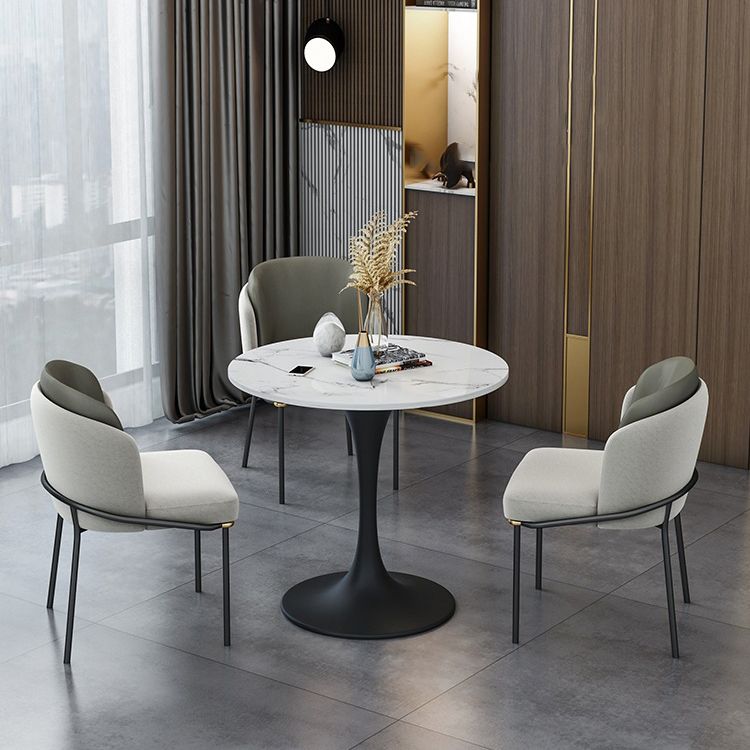 Glam Style Sintered Stone Dining Room Set with Black Leg Dining Furniture for Home Use Clearhalo 'Dining Room Sets' 'Dining Tables & Seating' 'dining_room_set' 'furn' 'furn_dining_room_set' 'Furniture' 'furniture_dining_room_set' 'Kitchen & Dining Furniture' 'kitchen&dining_furn' 'kitchen' 1200x1200_e8875cce-d134-4151-ae38-6d0677ddcd95