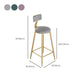 Contemporary Cushion Bar Stool Backrest Barstool with Gold Metal Legs Clearhalo 'Bar Furniture' 'Bar Stools' 'bar_stools' 'furn' 'furn_bar_stools' 'Furniture' 'Kitchen & Dining Furniture' 1200x1200_e8cc2766-052f-425c-95b2-c329aa955518