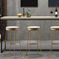 Modern Backless Counter Stool Upholstered Bar Stool with Metal Base Clearhalo 'Bar Furniture' 'Bar Stools' 'bar_stools' 'furn' 'furn_bar_stools' 'Furniture' 'Kitchen & Dining Furniture' 1200x1200_e8dad786-330f-4b9c-ba35-8332c96166a7