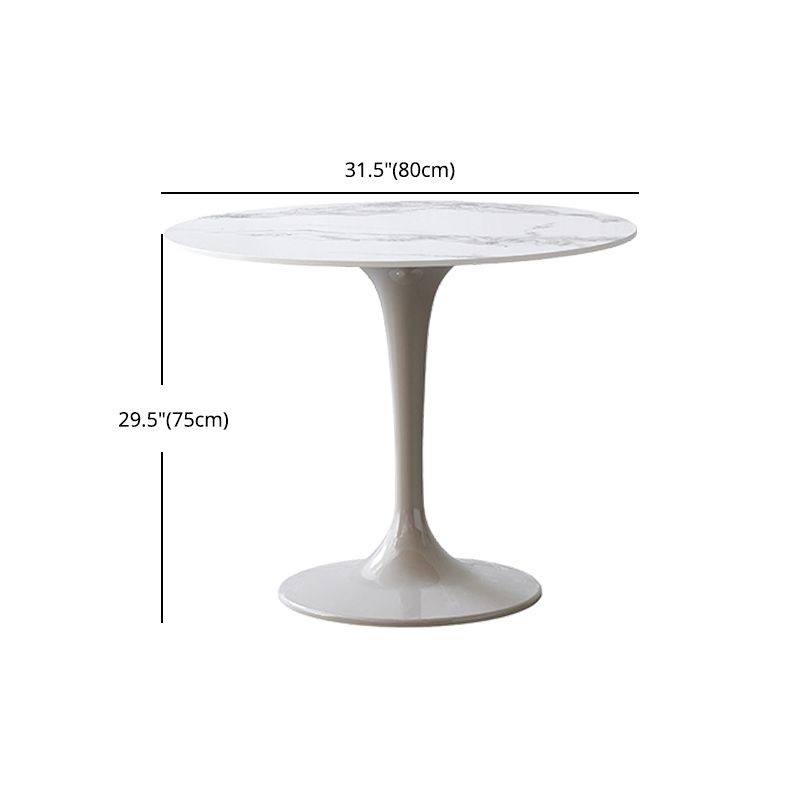 Modern 1/3/4/5 Pieces Sintered Stone Dining Set Dining Furniture Set /Separate Items Clearhalo 'Dining Room Sets' 'Dining Tables & Seating' 'dining_room_set' 'furn' 'furn_dining_room_set' 'Furniture' 'furniture_dining_room_set' 'Kitchen & Dining Furniture' 'kitchen&dining_furn' 'kitchen' 1200x1200_e8fb50ac-f5ac-4d53-a922-c9bb0ad2fe14