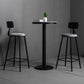 Modern 1/3 Pieces Bar Table Set Round Stone Counter Table with Backrest Stools Clearhalo 'Bar Furniture' 'furn' 'furn_home_bar_bar_sets' 'Furniture' 'Home Bars & Bar Sets' 'home_bar_bar_sets' 'Kitchen & Dining Furniture' 1200x1200_e949ff21-9114-46ba-bacc-f162e18ed43a