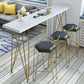 Modern Bar Height Table Solid Wood Top Bistro Table for Home Use Clearhalo 'Bar Furniture' 'Bar Tables' 'bar_tables' 'furn' 'furn_bar_tables' 'Furniture' 'Kitchen & Dining Furniture' 1200x1200_e95a61b4-015c-4a22-b3ff-1b4f045083a1