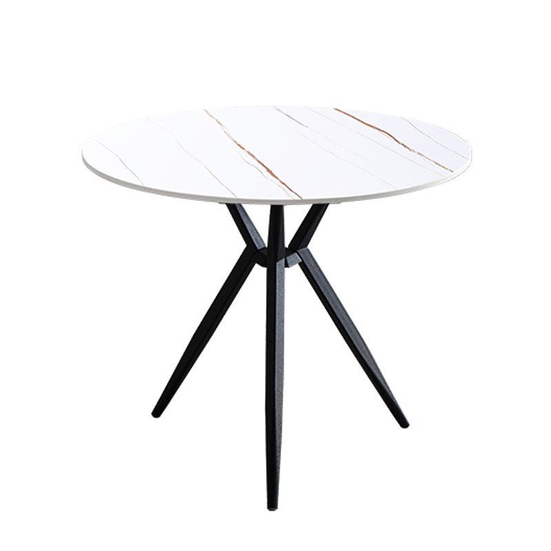 Modern Style Round Dinner Table Sintered Stone Table with Metal Base for Home Use Clearhalo ' dining_table' 'Dining Tables & Seating' 'Dining Tables' 'furn' 'furn_dining_table' 'Furniture' 'furniture_dining_table' 'Kitchen & Dining Furniture' 'kitchen&dining_furn' 'kitchen' 'kitchen_dining_table' 1200x1200_e963b4bb-1b03-4d08-ba3d-6f93978d4082