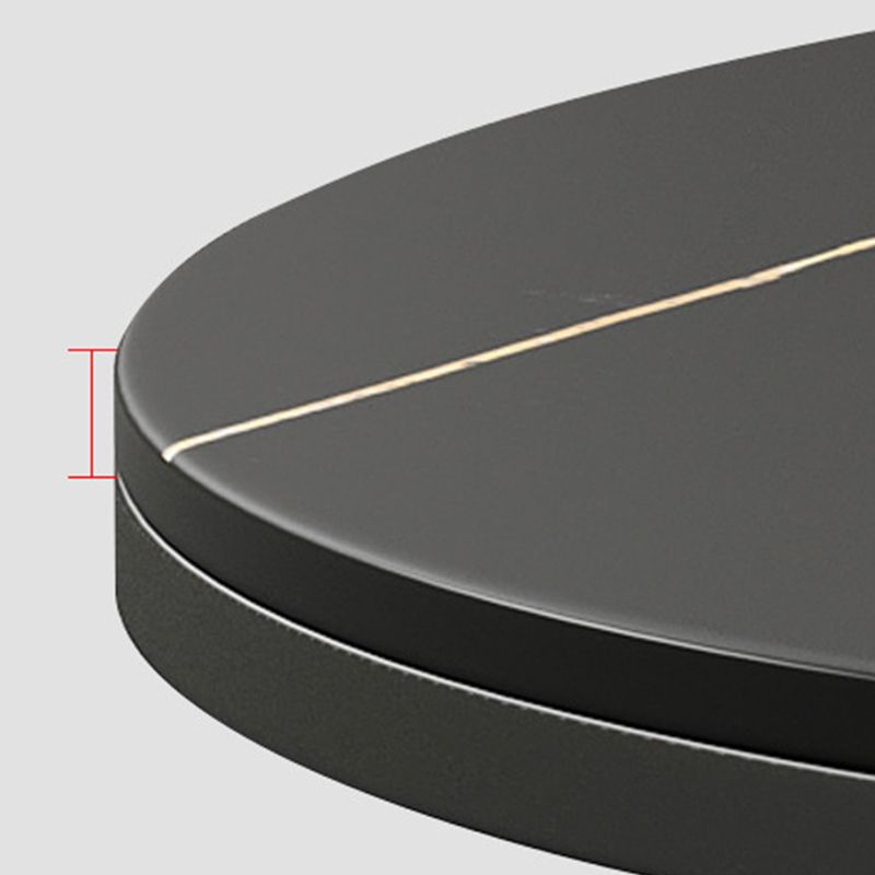 Modern Style Round Black and White Rock Slab Top Coffee Table Clearhalo 'Coffee & Accent Tables' 'Coffee Tables' 'coffee_tables' 'Furniture' 'furniture_coffee_tables' 'Living Room Furniture' 1200x1200_e97b0f35-c678-42f1-a6f7-2895d1613721