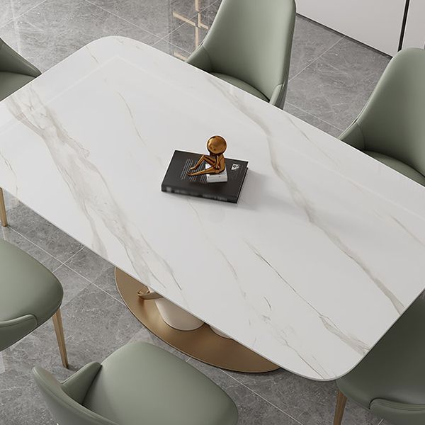 Traditional Luxury Rectangle Dining Table Stone Dinner Table with Pedestal Base Clearhalo ' dining_table' 'Dining Tables & Seating' 'Dining Tables' 'furn' 'furn_dining_table' 'Furniture' 'furniture_dining_table' 'Kitchen & Dining Furniture' 'kitchen&dining_furn' 'kitchen' 'kitchen_dining_table' 1200x1200_e9b7a62d-9bbb-4ae7-aff3-4054940326c7