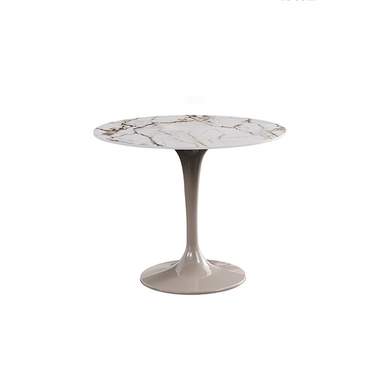 Sintered Stone Modern DiningRoomTableSet with Round Table and Pedestal Base Dinette Set Clearhalo 'Dining Room Sets' 'Dining Tables & Seating' 'dining_room_set' 'furn' 'furn_dining_room_set' 'Furniture' 'furniture_dining_room_set' 'Kitchen & Dining Furniture' 'kitchen&dining_furn' 'kitchen' 1200x1200_e9c214cd-4fef-4d97-b9fe-270c94248885