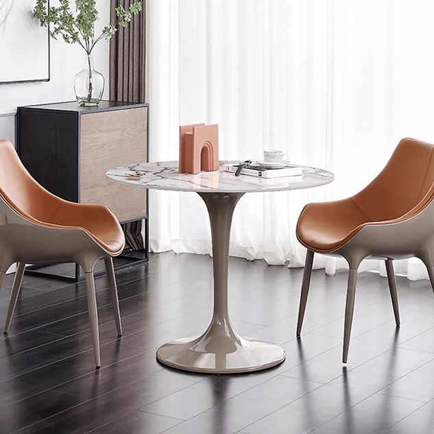 Modern Style Sintered Stone Dining Table White Round Tulip Base Dining Table Clearhalo ' dining_table' 'Dining Tables & Seating' 'Dining Tables' 'furn' 'furn_dining_table' 'Furniture' 'furniture_dining_table' 'Kitchen & Dining Furniture' 'kitchen&dining_furn' 'kitchen' 'kitchen_dining_table' 1200x1200_e9fb4ecc-a5f6-43f1-8cf6-0addfe9e7ec1