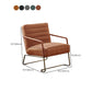 Arms Included Lounge Chair Living Room Chair with Gold Tone Legs Clearhalo 'Accent Chairs' 'accent_chairs' 'Chairs & Seating' 'furn' 'furn_accent_chairs' 'Furniture' 'Living Room Furniture' 1200x1200_e9fc5c84-6295-40d5-a495-68fde47f1487