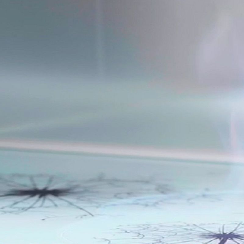 Glass Buffet Server Contemporary Style White Metal Frame Kitchen Server Clearhalo 'buffet_sideboard' 'Buffets & Sideboards' 'furn' 'furn_buffet_sideboard' 'Furniture' 'Kitchen & Dining Furniture' 1200x1200_ea1882d9-ca42-40db-a774-91aa3d1a78ce