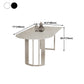 Living Room Simple Stone Table White Oval Table with Metal Pedestal Clearhalo 'Dining Tables & Seating' 'Dining Tables' 'dining_table' 'Furniture' 'furniture_dining_table' 'Kitchen & Dining Furniture' 'kitchen' 'kitchen_dining_table' 1200x1200_eac74d4a-e7b3-43e2-b562-d7c268d3b61f