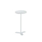 Iron Pedestal End Table Solid Color Round Metal Tray Top Side End Table Clearhalo 'Coffee & Accent Tables' 'End & Side Tables' 'end_side_table' 'end_side_tables' 'furn' 'furn_end_side_tables' 'Furniture' 'furniture_end_side_table' 'Living Room Furniture' 1200x1200_ead5abe0-5436-494a-97cf-dfeeb1eb0a44