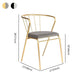 Contemporary Style Metal Dining Chairs Dining Armless Side Chairs for Kitchen Clearhalo ' kitchen&dining_furn' 'Dining Chairs' 'Dining Tables & Seating' 'dining_chair' 'furn' 'furn_dining_chair' 'Furniture' 'furniture_dining_chair' 'Kitchen & Dining Furniture' 'kitchen' 1200x1200_eaea1e26-15ec-4f4f-8c7d-943cefa84677