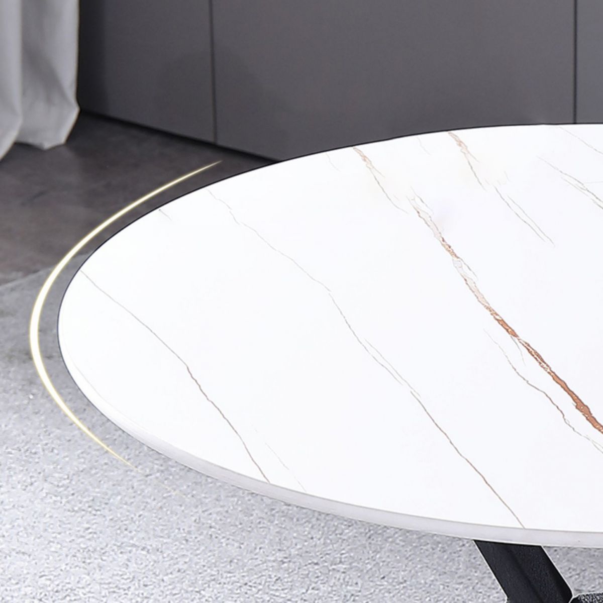 Modern Style Round Dinner Table Sintered Stone Table with Metal Base for Home Use Clearhalo ' dining_table' 'Dining Tables & Seating' 'Dining Tables' 'furn' 'furn_dining_table' 'Furniture' 'furniture_dining_table' 'Kitchen & Dining Furniture' 'kitchen&dining_furn' 'kitchen' 'kitchen_dining_table' 1200x1200_eb49a41d-3f34-4757-b446-df736d69c5e5