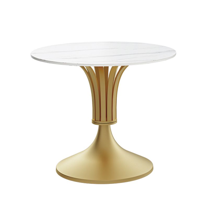 Round Luxury Style Dining Table Fixed Table with Sintered Stone Clearhalo 'Dining Tables & Seating' 'Dining Tables' 'dining_table' 'furn' 'furn_dining_table' 'Furniture' 'furniture_dining_table' 'Kitchen & Dining Furniture' 'kitchen' 'kitchen_dining_table' 1200x1200_eb5aa50f-93fd-4d0d-8d4d-e1243e01a262