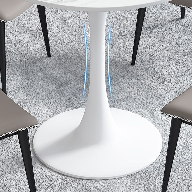Simplicity Round Dining Room Table Sintered Stone Table with Tulip Base Clearhalo ' dining_table' 'Dining Tables & Seating' 'Dining Tables' 'furn' 'furn_dining_table' 'Furniture' 'furniture_dining_table' 'Kitchen & Dining Furniture' 'kitchen&dining_furn' 'kitchen' 'kitchen_dining_table' 1200x1200_eb6522ac-e351-4267-b4f0-99bd409d67ca